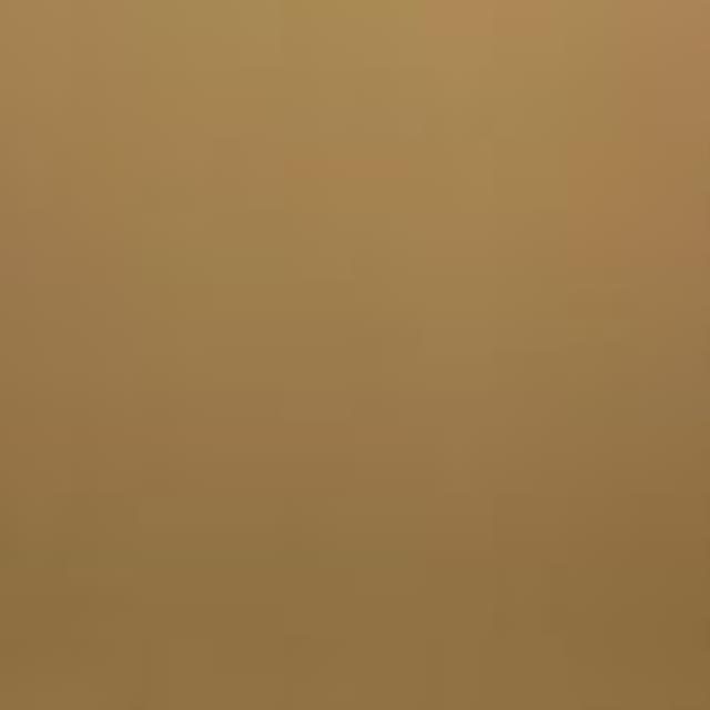 Where to rent Newlook Endura  213 Caramel 16oz in Pasco WA