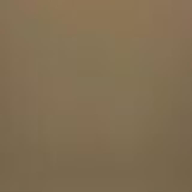 Where to rent Newlook Endura  233 Beach House 16oz in Pasco WA