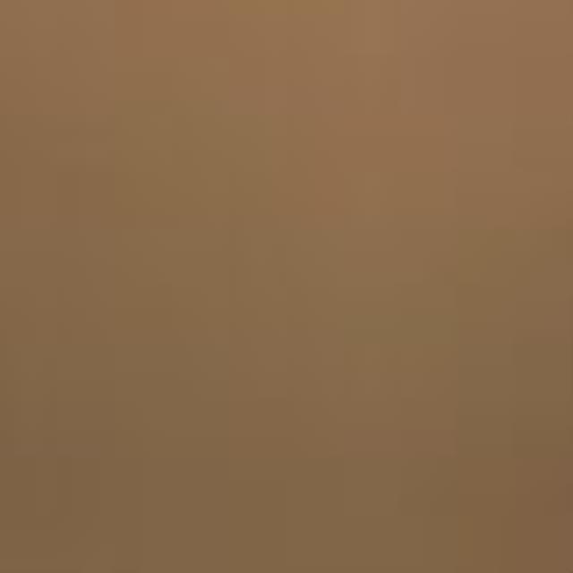 Where to rent Newlook Endura  225 Cowboy Dust 16oz in Pasco WA