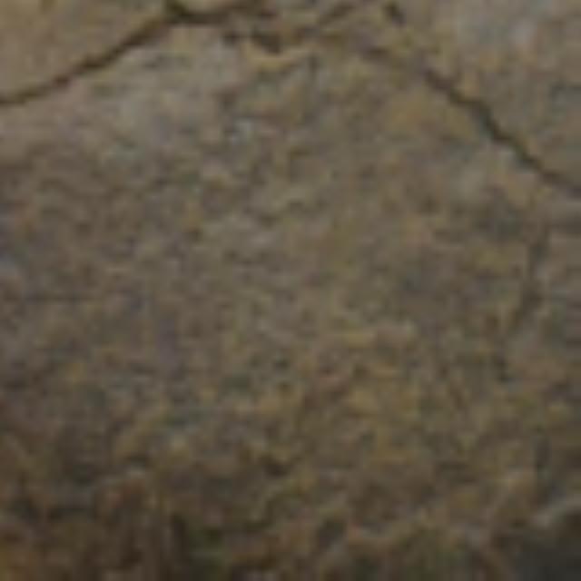 Where to rent Newlook Endura Faux Fusion 8oz Sasquatch in Pasco WA