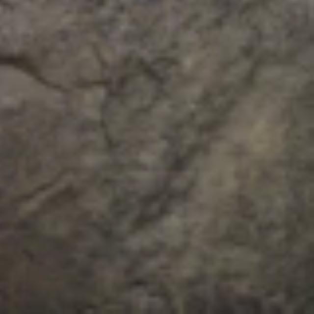 Where to rent Newlook Endura Faux Fusion 8oz Rhino Gra in Pasco WA