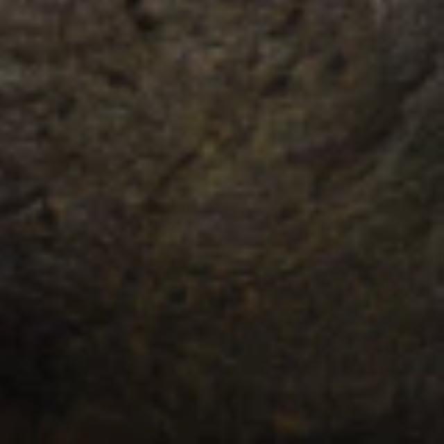 Where to rent Newlook Endura Faux Fusion 8oz Black Fur in Pasco WA