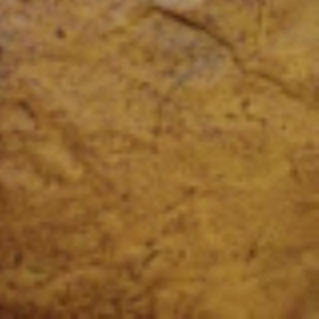 Where to rent Newlook Endura Faux Fusion 8oz Egyptian in Pasco WA